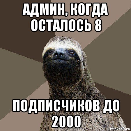 админ, когда осталось 8 подписчиков до 2000