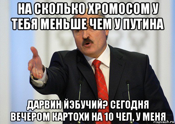 на сколько хромосом у тебя меньше чем у путина дарвин йэбучий? сегодня вечером картохи на 10 чел, у меня, Мем лукашенко