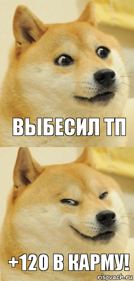 выбесил тп +120 в карму!, Комикс   DOGE довольный