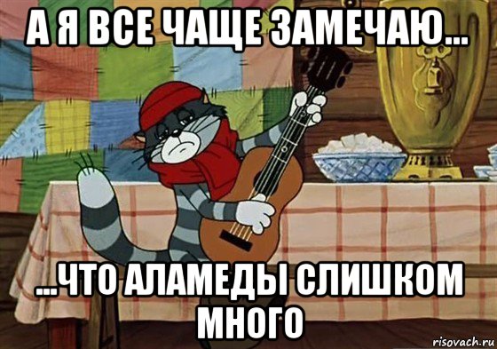 а я все чаще замечаю... ...что аламеды слишком много, Мем Грустный Матроскин с гитарой