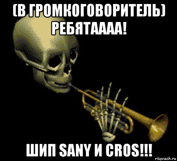 (в громкоговоритель) ребятаааа! шип sany и cros!!!, Мем Мистер дудец