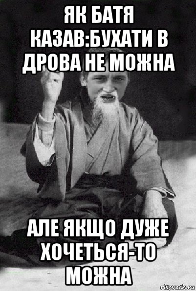 як батя казав:бухати в дрова не можна але якщо дуже хочеться-то можна, Мем Мудрий паца