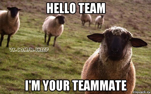 hello team i'm your teammate, Мем  Наивная Овца
