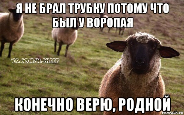 я не брал трубку потому что был у воропая конечно верю, родной, Мем  Наивная Овца