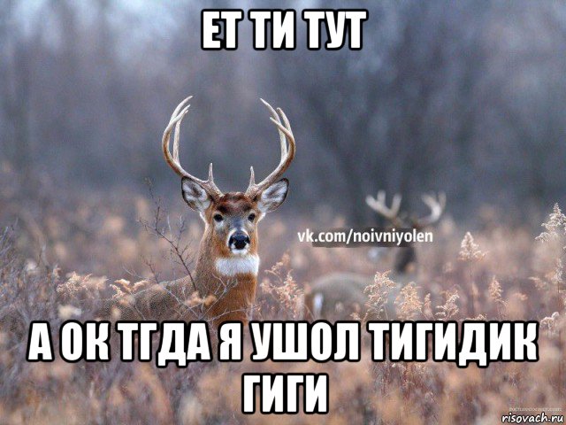 ет ти тут а ок тгда я ушол тигидик гиги