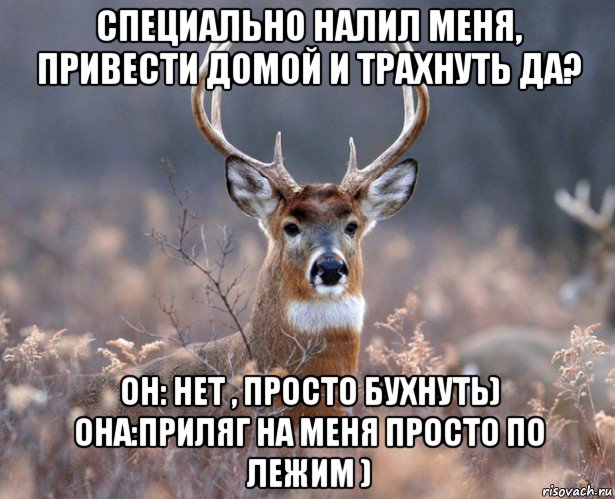 специально налил меня, привести домой и трахнуть да? он: нет , просто бухнуть) она:приляг на меня просто по лежим ), Мем   Наивный олень