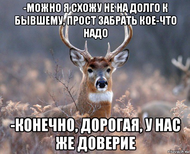 -можно я схожу не на долго к бывшему, прост забрать кое-что надо -конечно, дорогая, у нас же доверие, Мем   Наивный олень