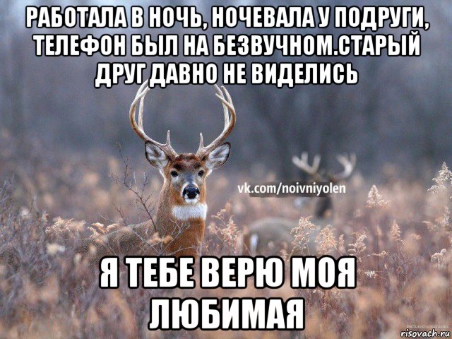 работала в ночь, ночевала у подруги, телефон был на безвучном.старый друг давно не виделись я тебе верю моя любимая, Мем Наивный Олень vk