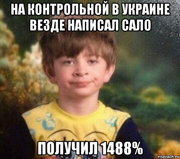 на контрольной в украине везде написал сало получил 1488%, Мем Недовольный пацан