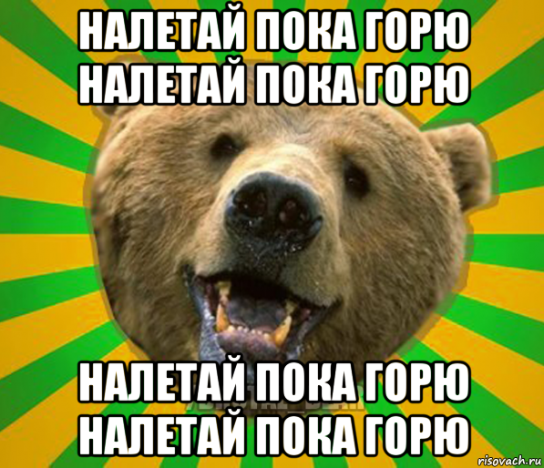 налетай пока горю налетай пока горю налетай пока горю налетай пока горю, Мем Нелепый медведь