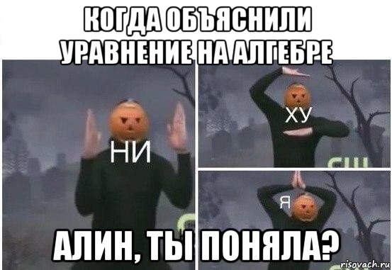 когда объяснили уравнение на алгебре алин, ты поняла?, Мем  Ни ху Я