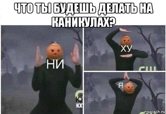 что ты будешь делать на каникулах? , Мем  Ни ху Я