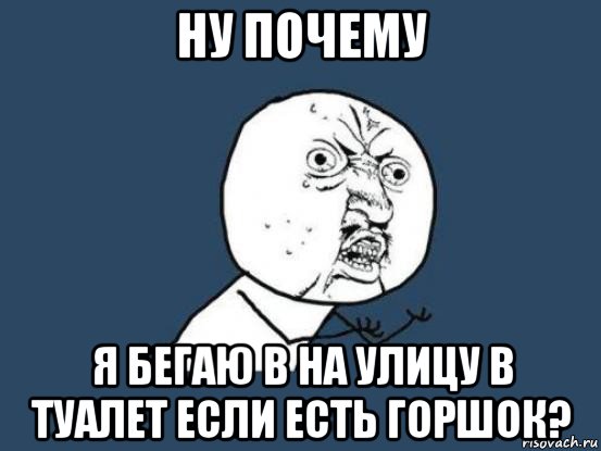 ну почему я бегаю в на улицу в туалет если есть горшок?, Мем Ну почему