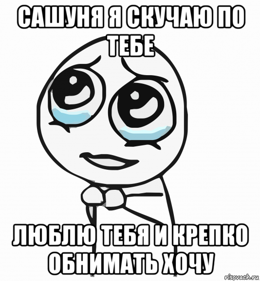 сашуня я скучаю по тебе люблю тебя и крепко обнимать хочу, Мем  ну пожалуйста (please)