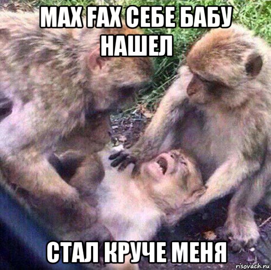 max fax себе бабу нашел стал круче меня, Мем Обезьяны