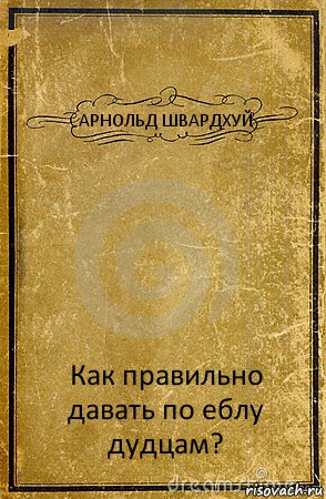 АРНОЛЬД ШВАРДХУЙ Как правильно давать по еблу дудцам?, Комикс обложка книги