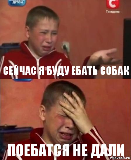 сейчас я буду ебать собак поебатся не дали, Комикс   Сашко Фокин