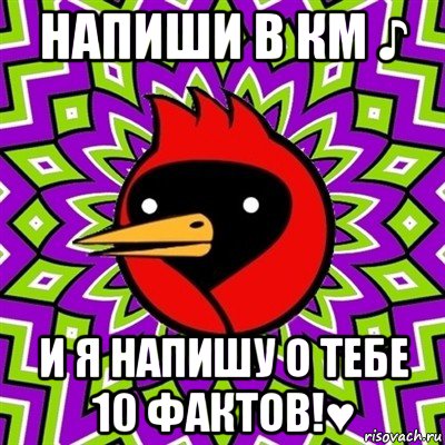 напиши в км ♪ и я напишу о тебе 10 фактов!♥, Мем Омская птица