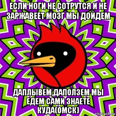 если ноги не сотрутся и не заржавеет мозг мы дойдем даплывем,даползем мы едем сами знаете куда(омск), Мем Омская птица