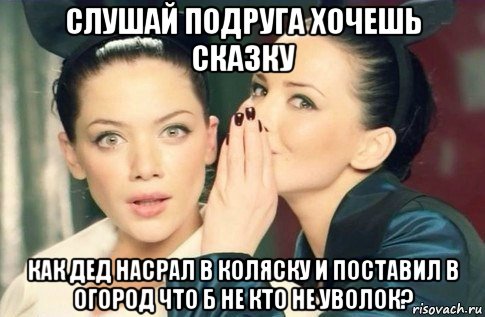 слушай подруга хочешь сказку как дед насрал в коляску и поставил в огород что б не кто не уволок?, Мем  Он