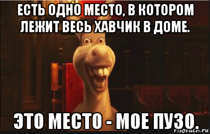 есть одно место, в котором лежит весь хавчик в доме. это место - мое пузо., Мем Осел из Шрека