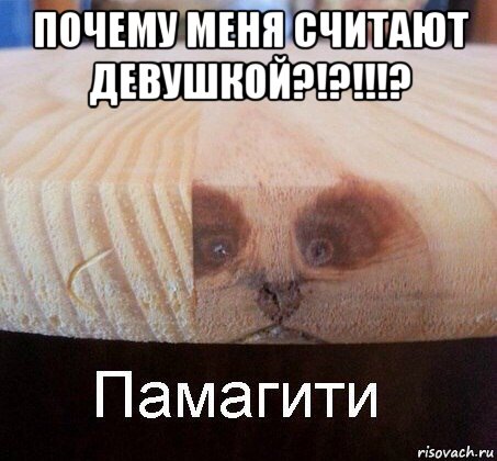 почему меня считают девушкой?!?!!!? , Мем   Памагити