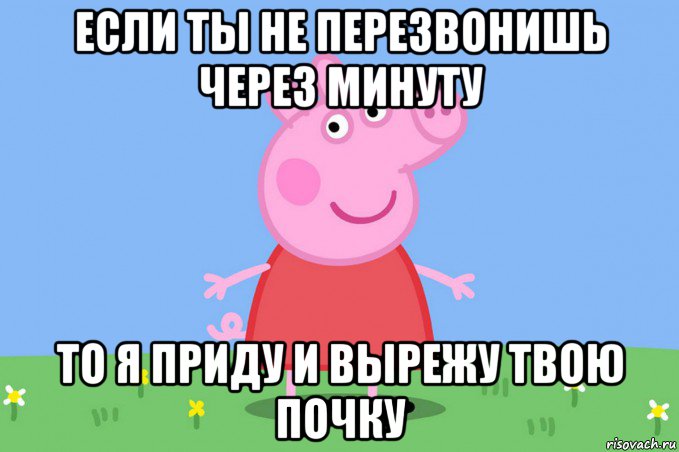 если ты не перезвонишь через минуту то я приду и вырежу твою почку, Мем Пеппа