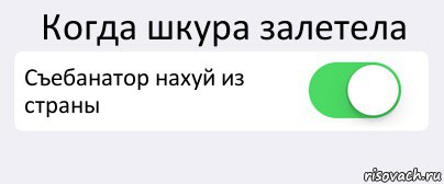 Когда шкура залетела Съебанатор нахуй из страны , Комикс Переключатель