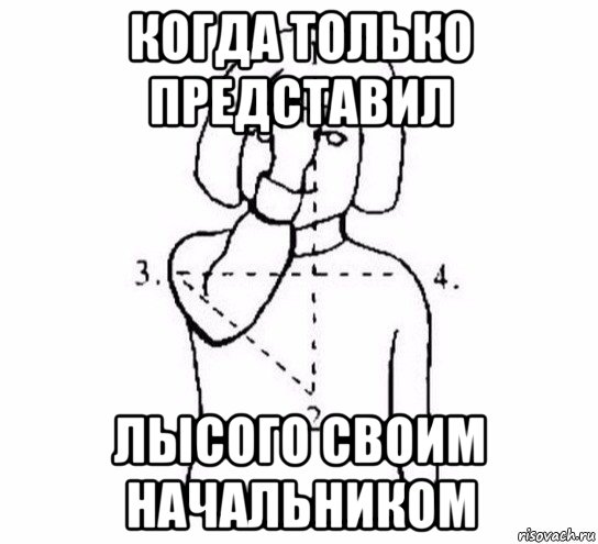 когда только представил лысого своим начальником, Мем  Перекреститься