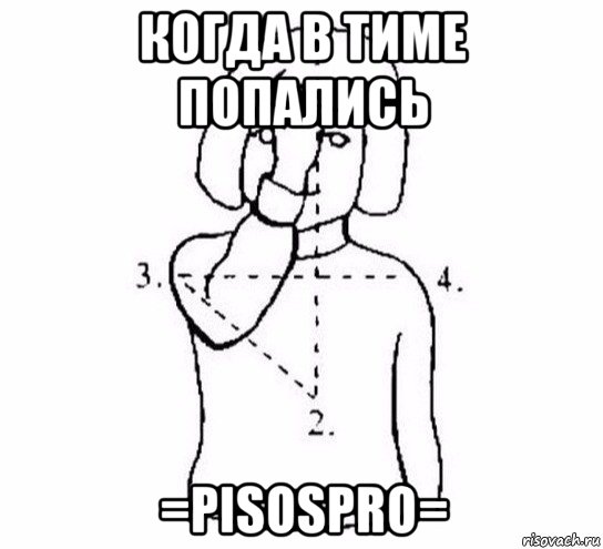 когда в тиме попались =pisospro=, Мем  Перекреститься