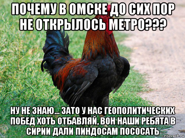 почему в омске до сих пор не открылось метро??? ну не знаю... зато у нас геополитических побед хоть отбавляй, вон наши ребята в сирии дали пиндосам пососать, Мем петух