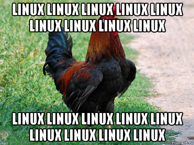 linux linux linux linux linux linux linux linux linux linux linux linux linux linux linux linux linux linux