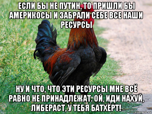 если бы не путин, то пришли бы америкосы и забрали себе все наши ресурсы ну и что, что эти ресурсы мне всё равно не принадлежат. ой, иди нахуй, либераст, у тебя батхёрт!, Мем петух