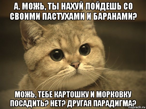 а. можь, ты нахуй пойдешь со своими пастухами и баранами? можь, тебе картошку и морковку посадить? нет? другая парадигма?, Мем Пидрила ебаная котик