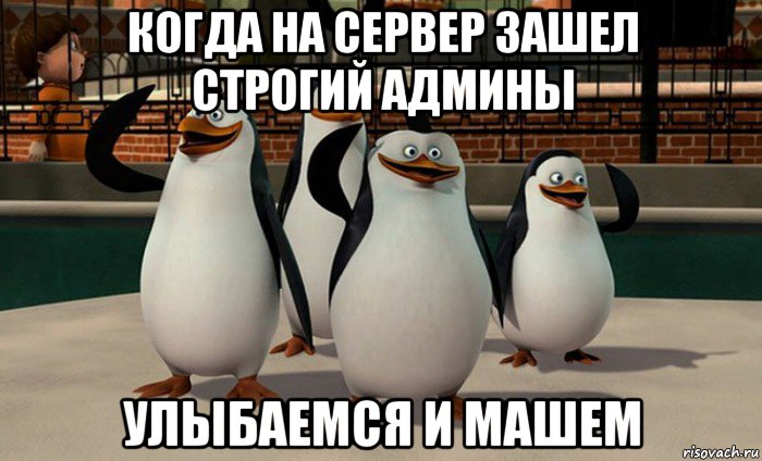 когда на сервер зашел строгий админы улыбаемся и машем, Мем  пингвины Мадагаскара