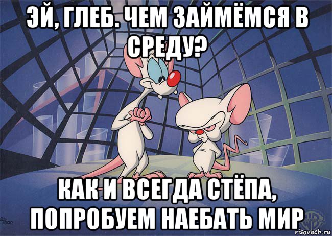 эй, глеб. чем займёмся в среду? как и всегда стёпа, попробуем наебать мир