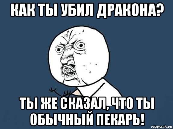 как ты убил дракона? ты же сказал, что ты обычный пекарь!, Мем  почему мем