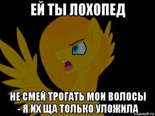 ей ты лохопед не смей трогать мои волосы - я их ща только уложила, Мем  Пони1