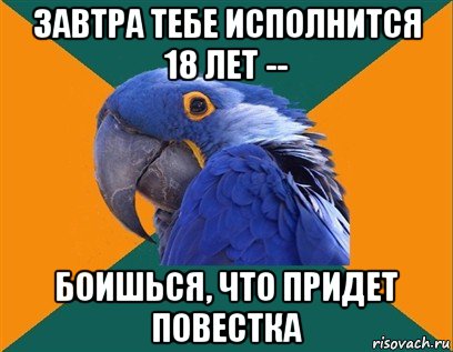 завтра тебе исполнится 18 лет -- боишься, что придет повестка, Мем Попугай параноик