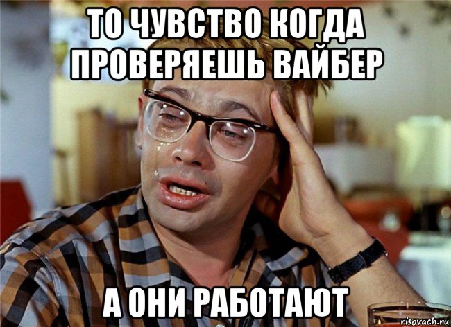 то чувство когда проверяешь вайбер а они работают, Мем Птичку жалко