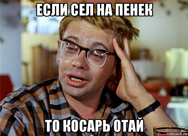 если сел на пенек то косарь отай