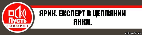 Ярик. Експерт в цеплянии Янки., Комикс   пусть говорят