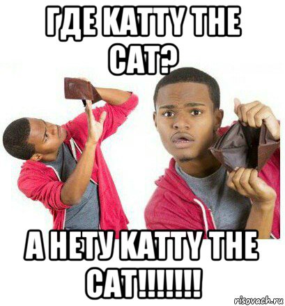 где katty the cat? а нету katty the cat!!!!!!!, Мем  Пустой кошелек