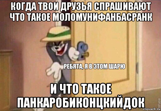 когда твои друзья спрашивают что такое моломунифанбасранк и что такое панкаробиконцкийдок, Мем    Ребята я в этом шарю