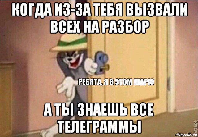 когда из-за тебя вызвали всех на разбор а ты знаешь все телеграммы, Мем    Ребята я в этом шарю