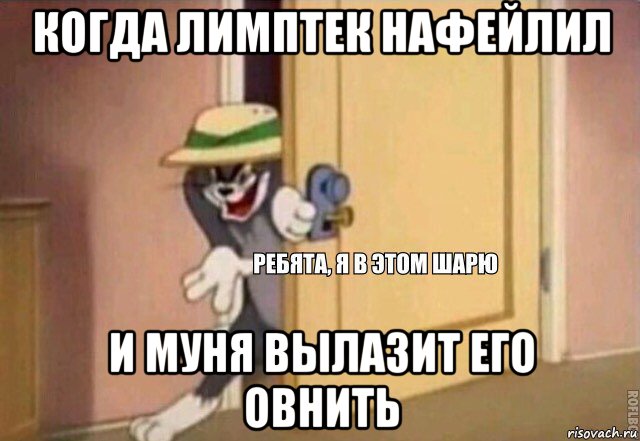 когда лимптек нафейлил и муня вылазит его овнить, Мем    Ребята я в этом шарю