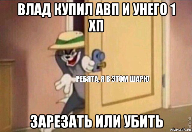 влад купил авп и унего 1 хп зарезать или убить, Мем    Ребята я в этом шарю