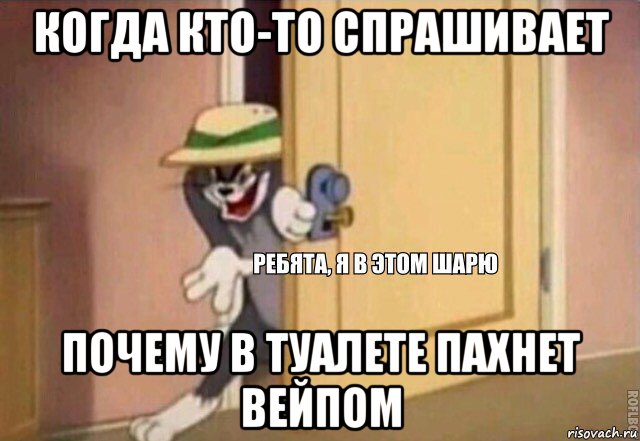 когда кто-то спрашивает почему в туалете пахнет вейпом, Мем    Ребята я в этом шарю