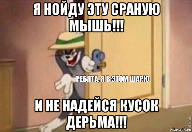 я нойду эту сраную мышь!!! и не надейся кусок дерьма!!!, Мем    Ребята я в этом шарю