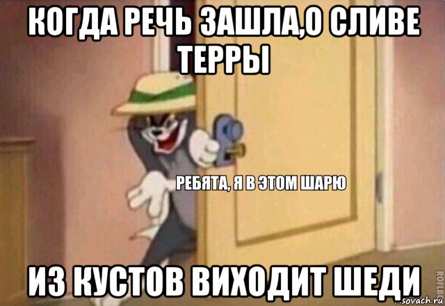 когда речь зашла,о сливе терры из кустов виходит шеди, Мем    Ребята я в этом шарю